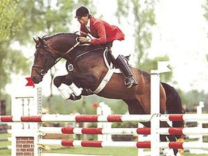 Le Grand II - Showjumping Stallion